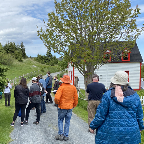 wild food walk